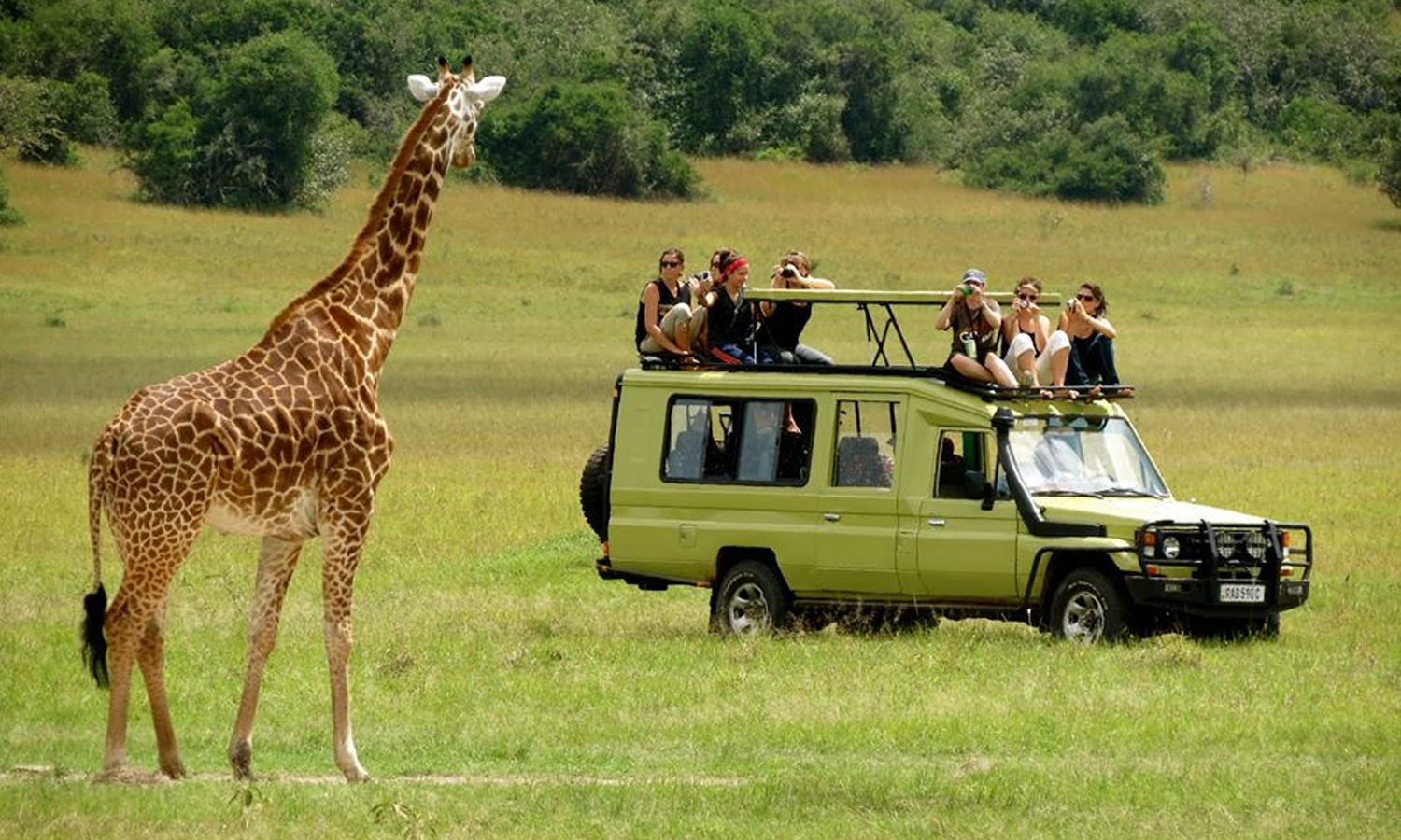 2 Days Safari to Selous