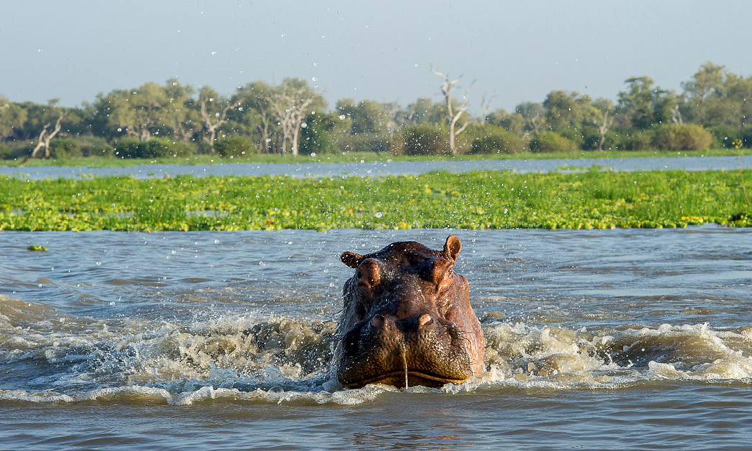 5 Days Safari to Selous & Mikumi