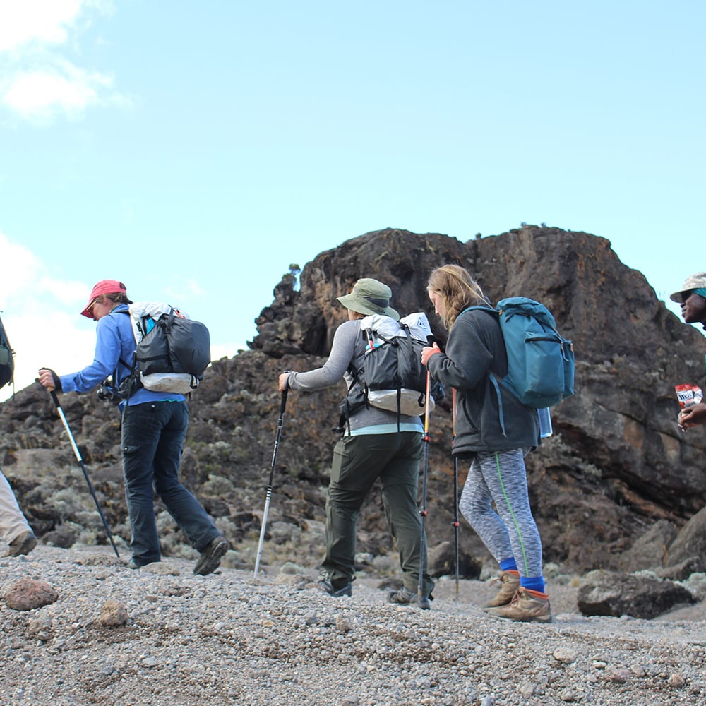 7 Days Mount Kilimanjaro Trekking via Rongai Route