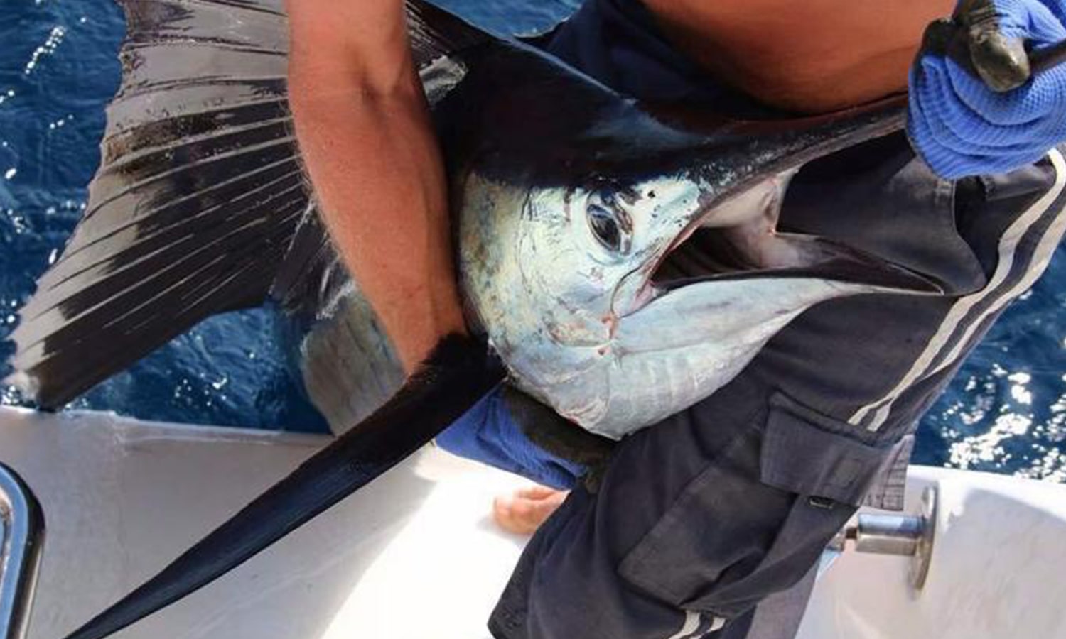 Deep Sea Fishing in Zanzibar