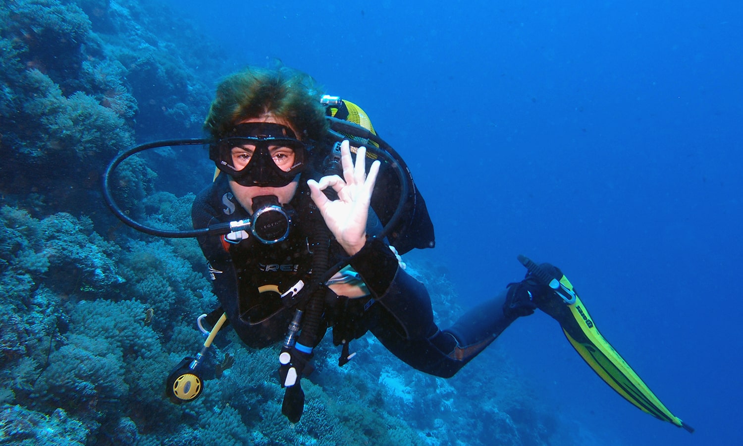 Diving in Zanzibar