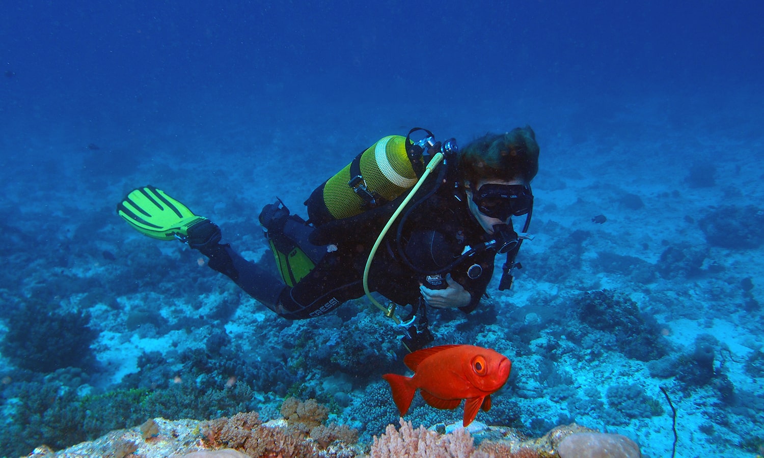 Diving in Zanzibar