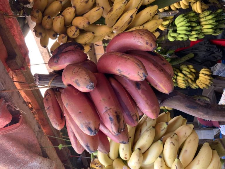 ''best banana in zanzibar''