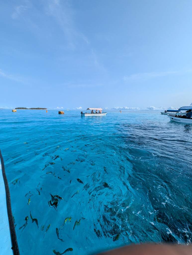 PXL_20260225_054016077