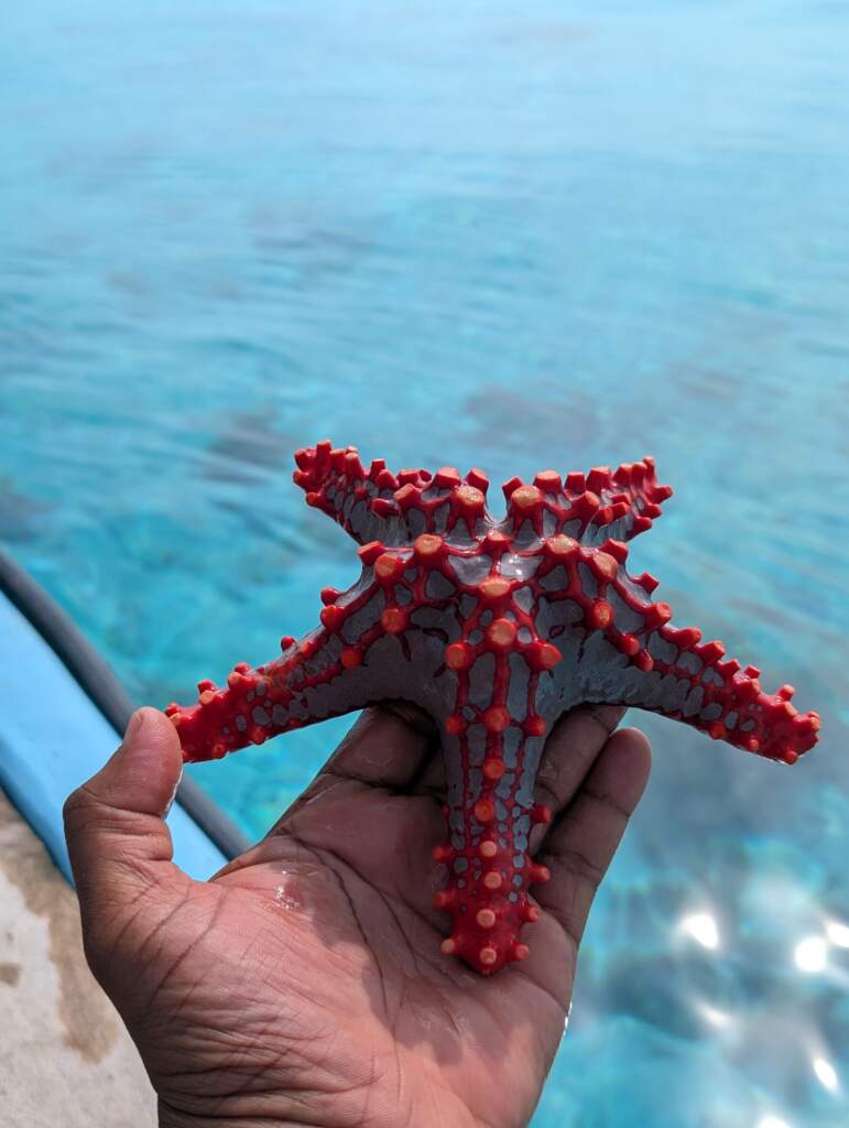 PXL_20260225_063746322.PORTRAIT