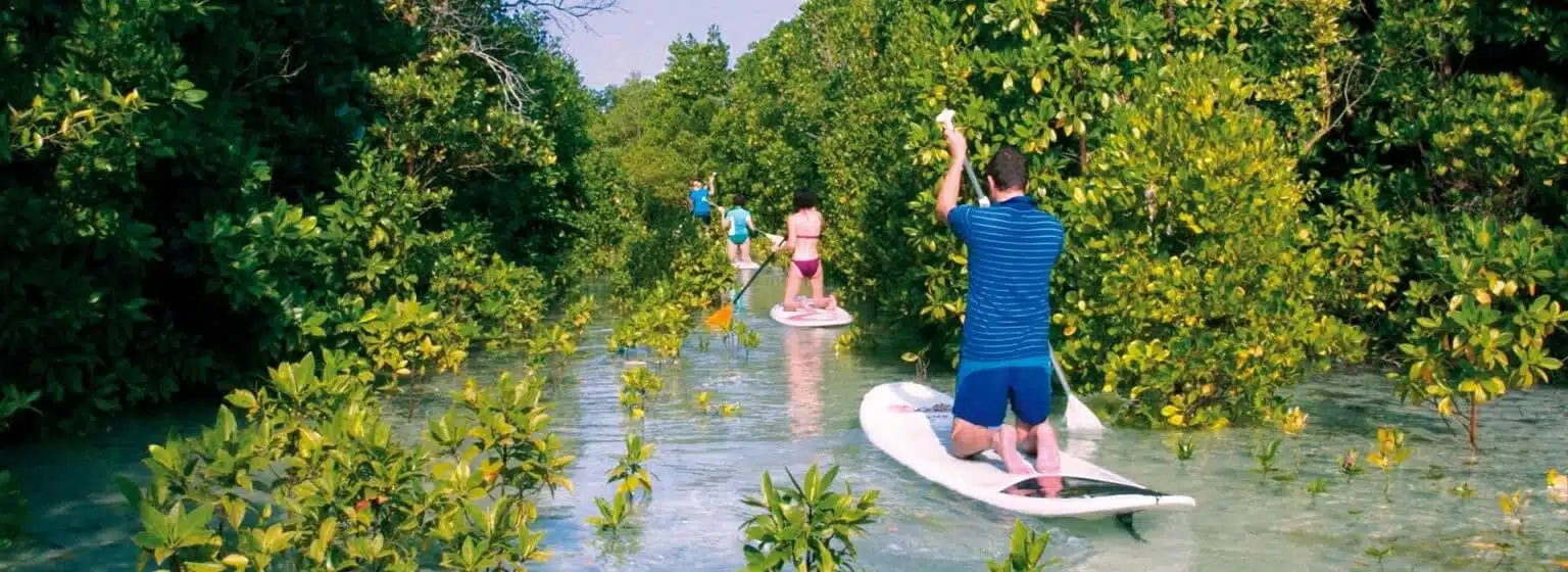 SUP-tours-rentals-Michamvi-Zanzibar-Mangroves-1536x560