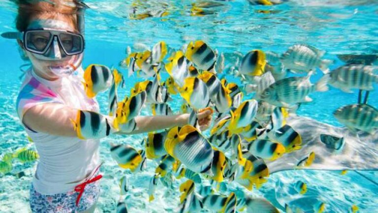 ''Snorkeling Blue Lagoon Tour''