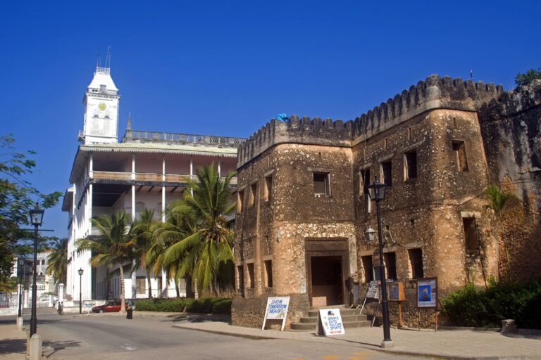 ''Stone Town Walking Tour''