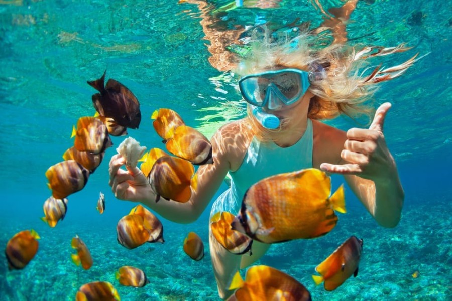 best-snorkeling