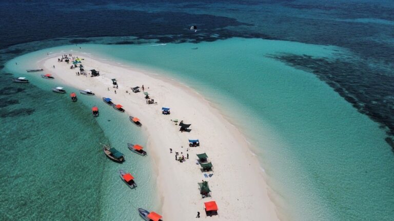 ''pungume island tour''
