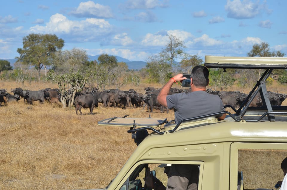 Game Drive during 3 Days Mikumi Safari from Zanzibar