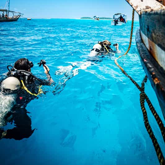 scuba diving 10