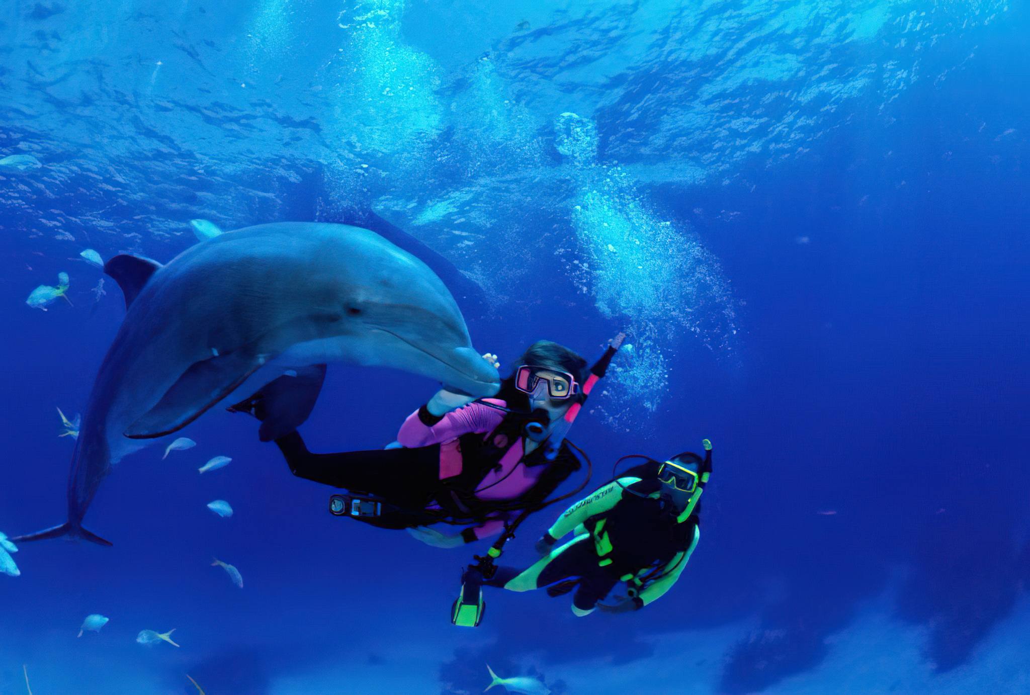 scuba diving 2