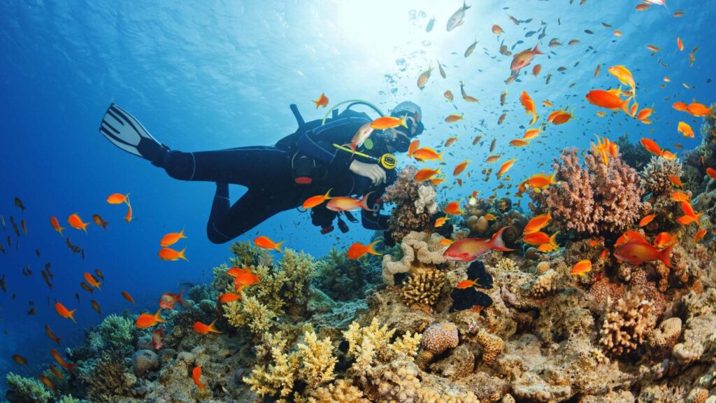 Scuba Diving Tour | Watersports Activities Zanzibar