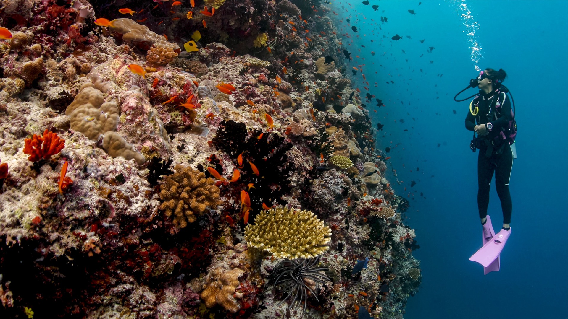 scuba diving 6
