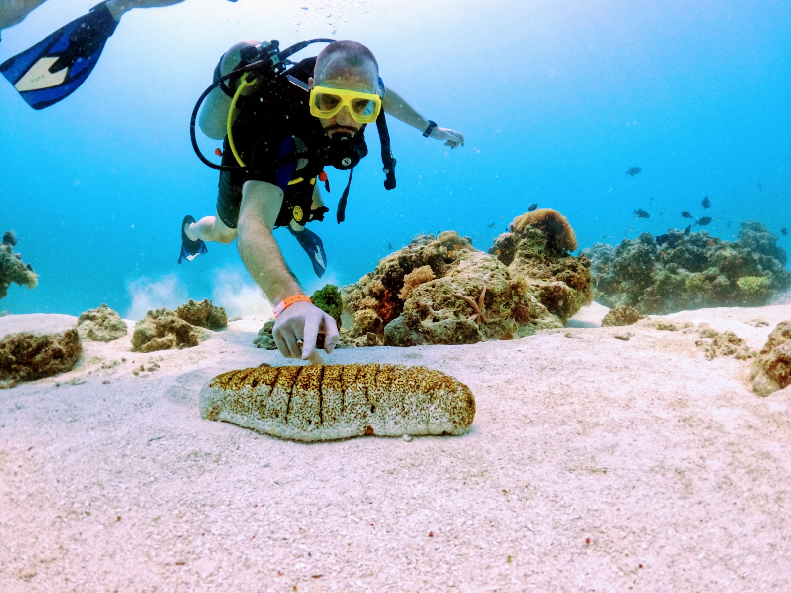 DCIM100GOPROGOPR4909.JPG