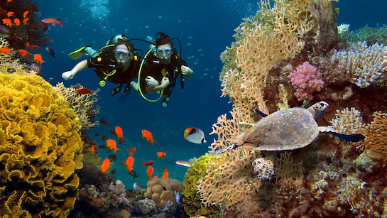 scuba diving 9