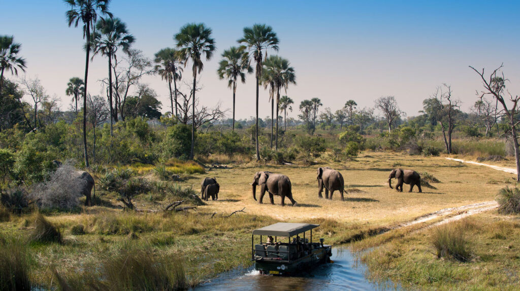 a day trip to selous game reserve