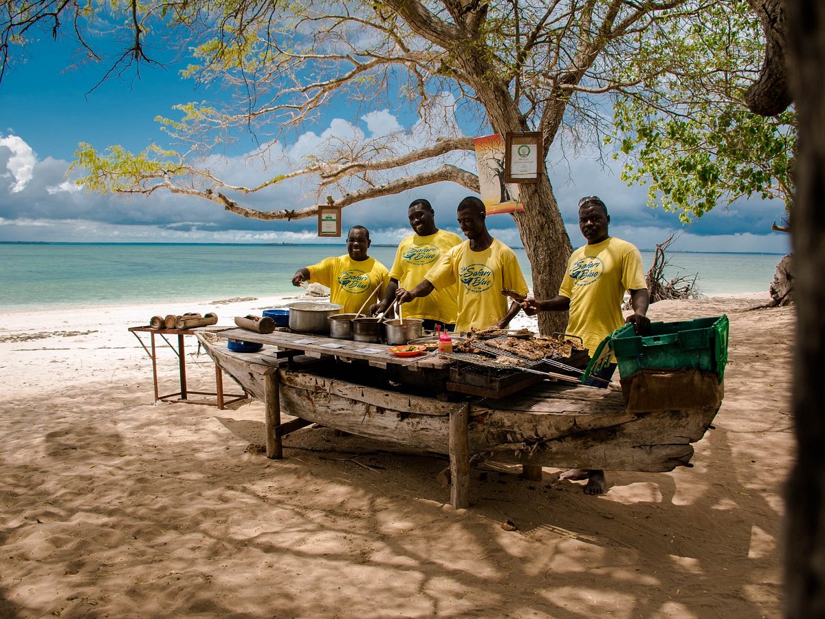 serving-lunch-safari