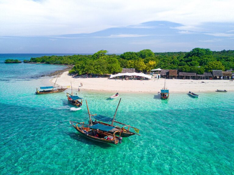 ''Safari Blue Tour''